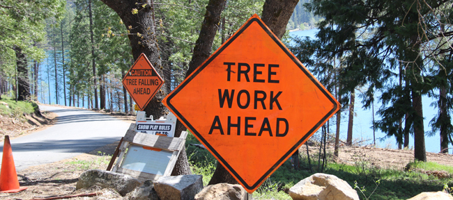 Caution Sign Tree Work Ahead