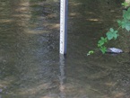 Clear Creek gage at Sly Park Road