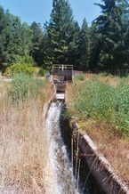 Jenkinson Lake releases to Clear Creek