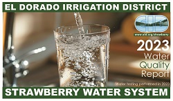 2023 Water Quality Report Strawberry Water System