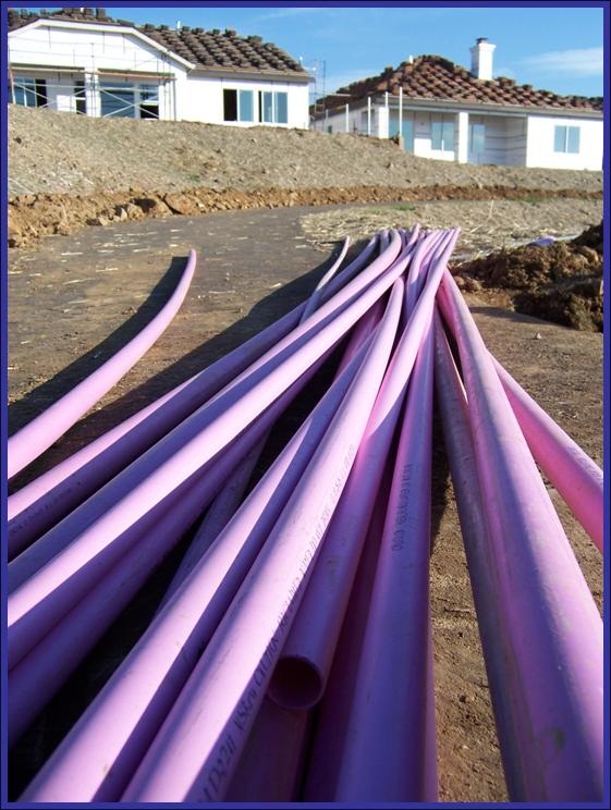 purple pipe1